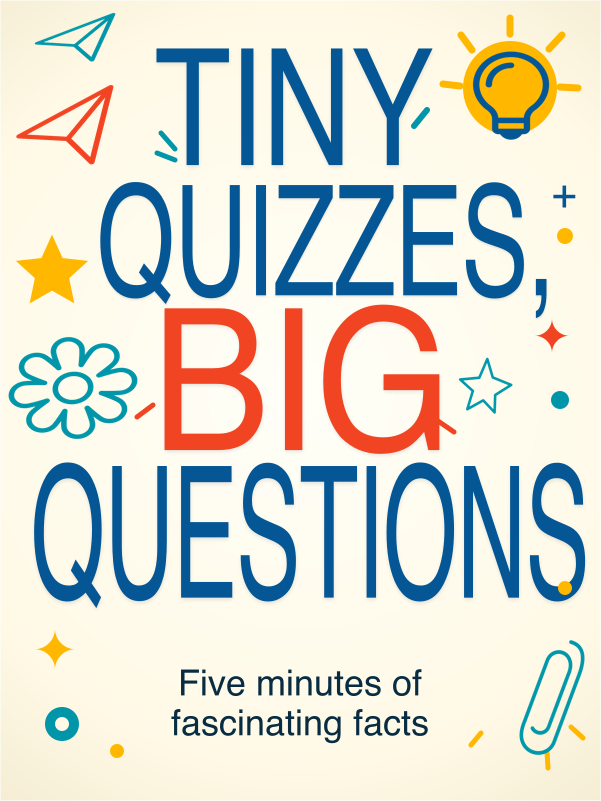 Tiny Quizzes, Big Questions cover template preview
